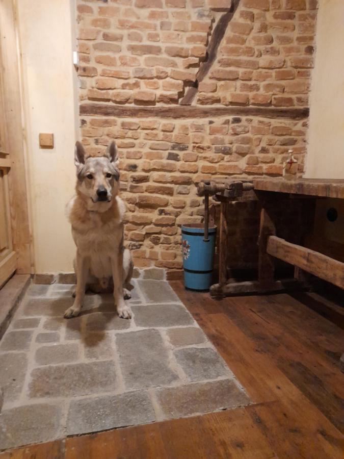 ホテル Michelsberger Haus エクステリア 写真